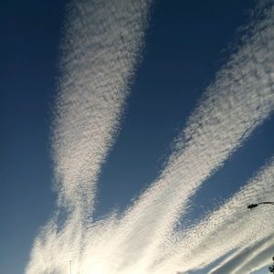 Meet your Posher, Adrian